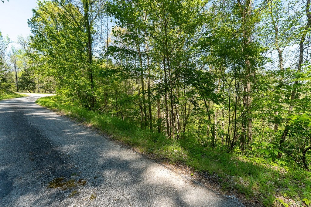 94 Austin Bottom Baxter TN 38544