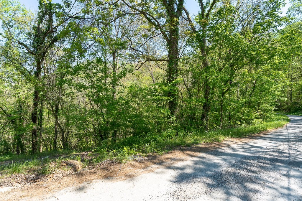 94 Austin Bottom Baxter TN 38544