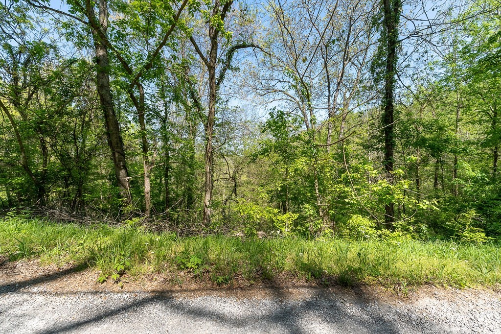 94 Austin Bottom Baxter TN 38544