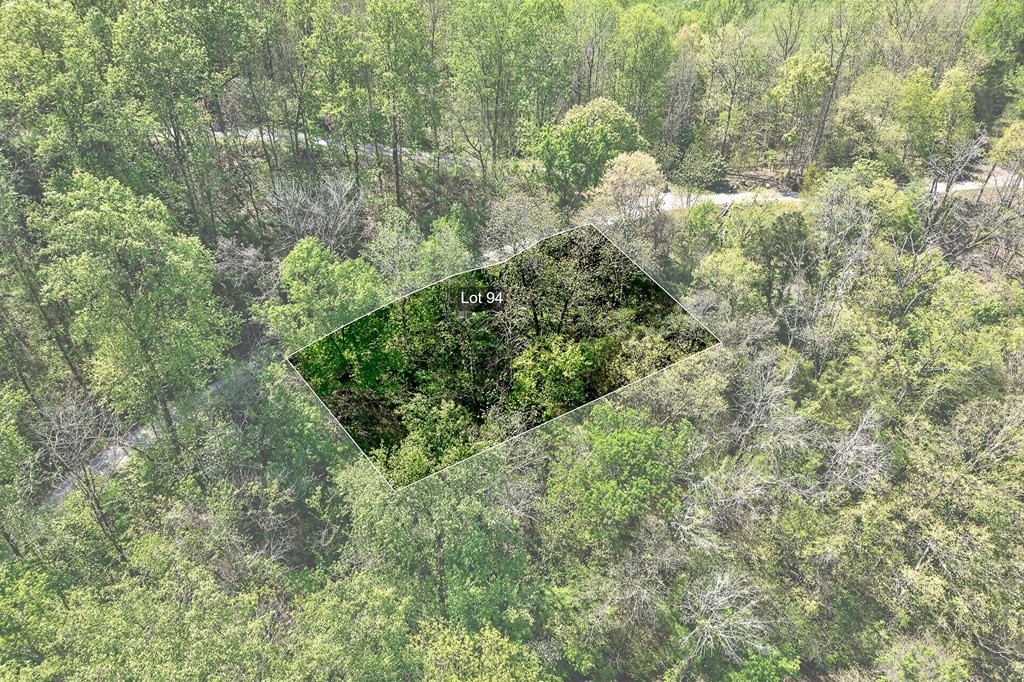 94 Austin Bottom Baxter TN 38544