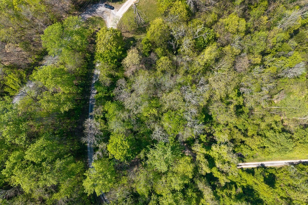94 Austin Bottom Baxter TN 38544