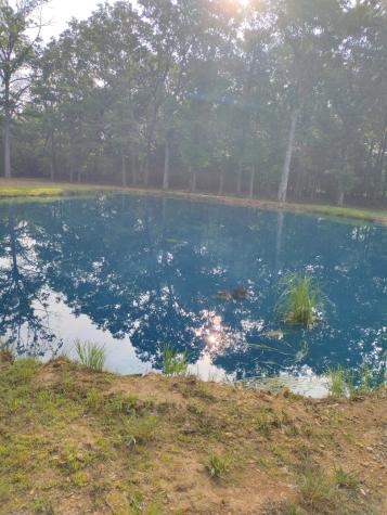 270 Bonner Way Estill Springs TN 37330