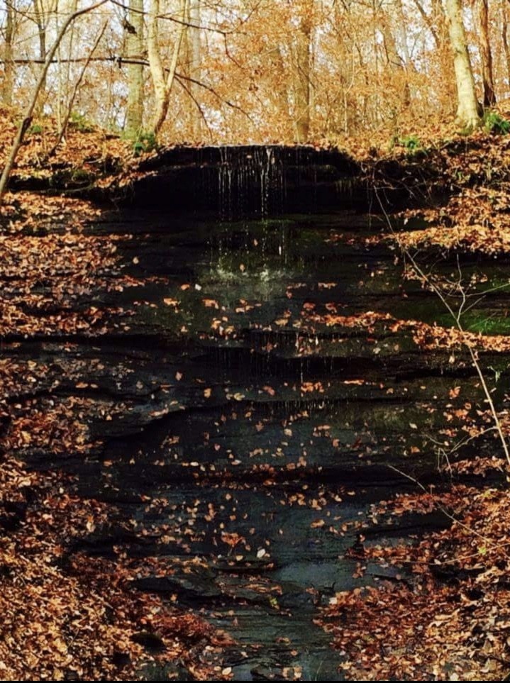 4754 Ridgetop Road Hampshire TN 38461