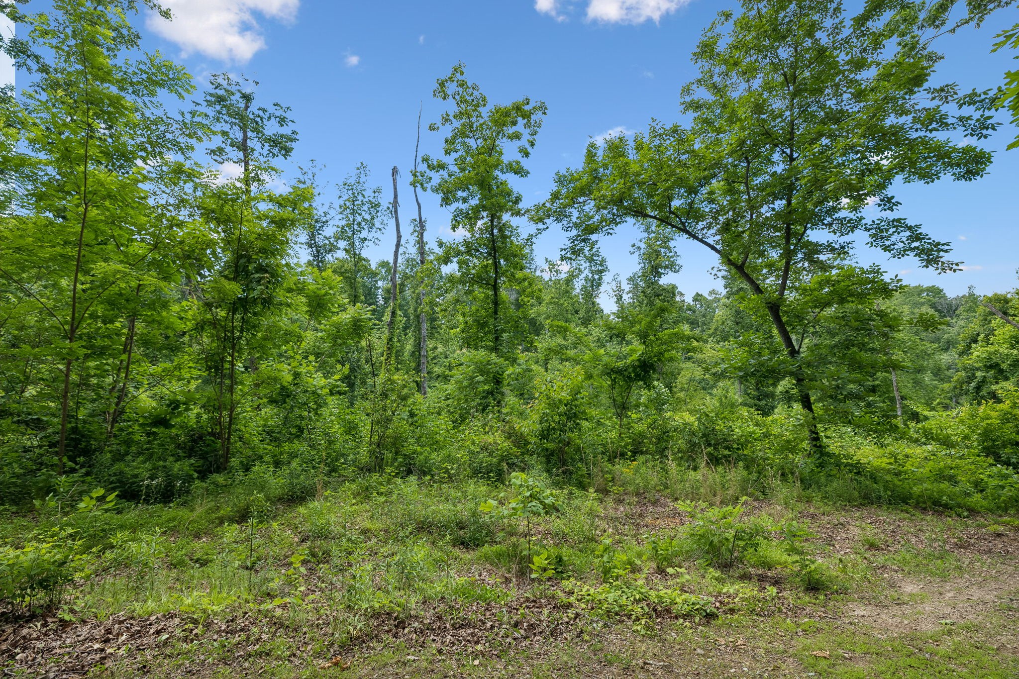 4754 Ridgetop Road Hampshire TN 38461