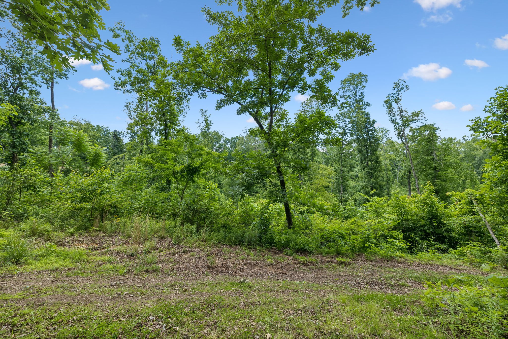 4754 Ridgetop Road Hampshire TN 38461