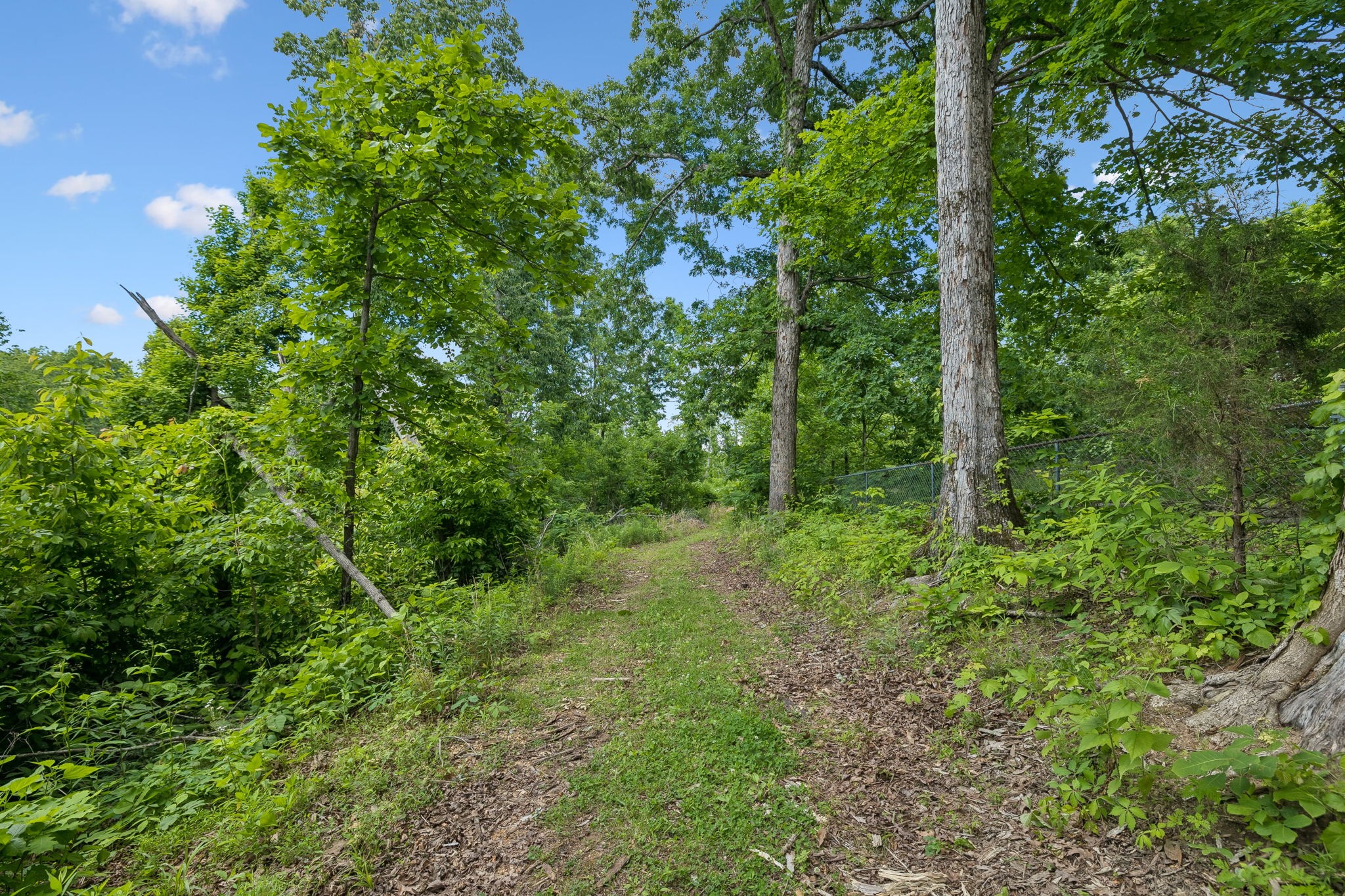 4754 Ridgetop Road Hampshire TN 38461