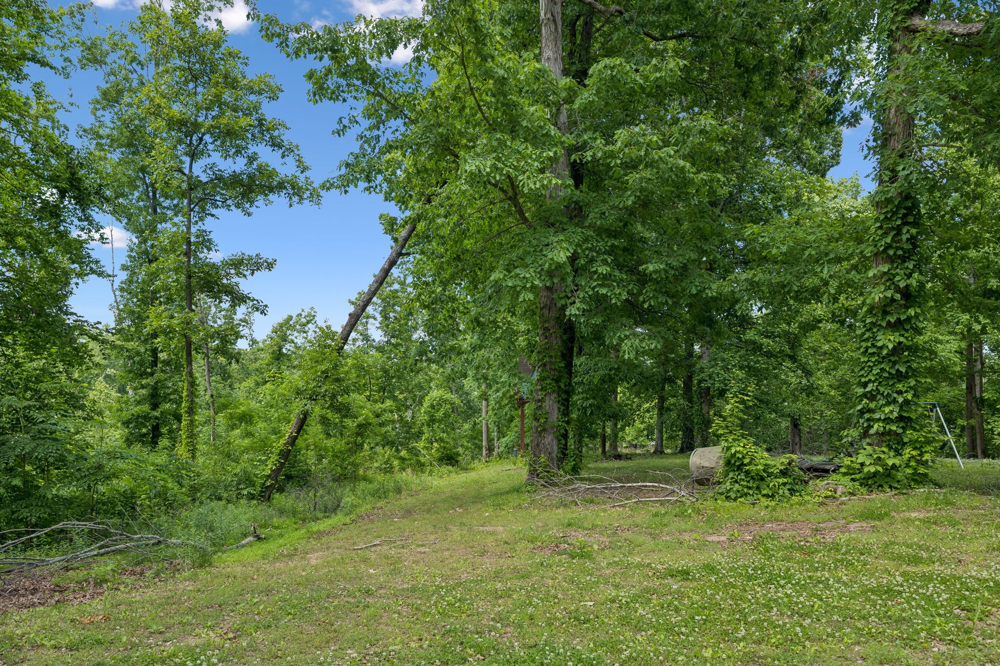 4754 Ridgetop Road Hampshire TN 38461