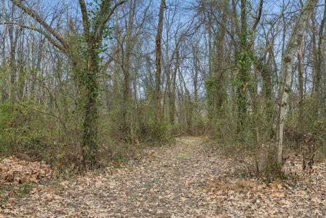 7697 Bethany Church Road Orlinda TN 37141