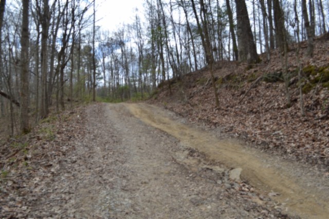 0 Buffalo Road Oneida TN 37841