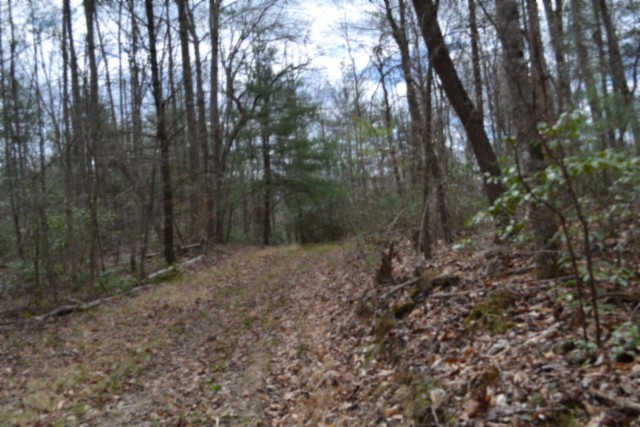 0 Buffalo Road Oneida TN 37841