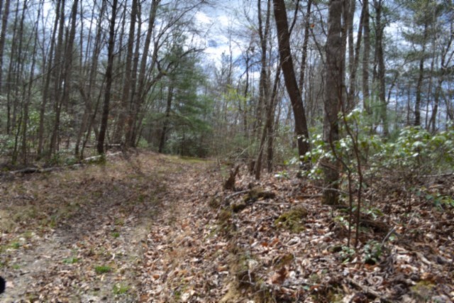 0 Buffalo Road Oneida TN 37841