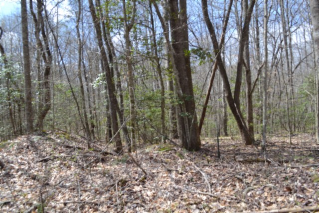 0 Buffalo Road Oneida TN 37841