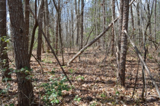 0 Buffalo Road Oneida TN 37841