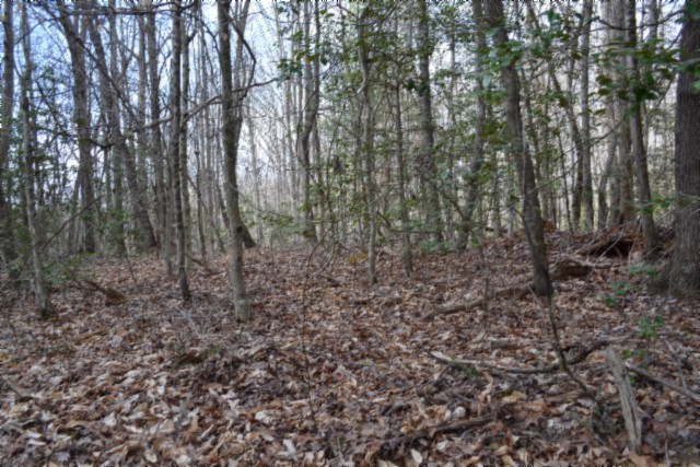 0 Buffalo Road Oneida TN 37841