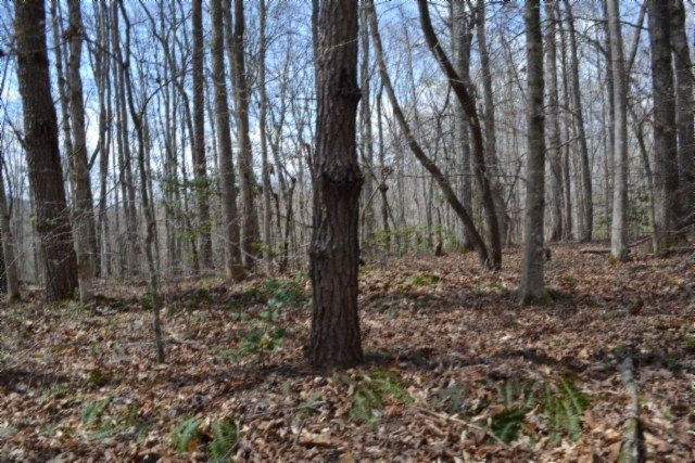 0 Buffalo Road Oneida TN 37841