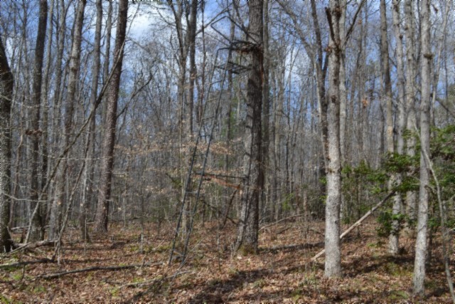 0 Buffalo Road Oneida TN 37841