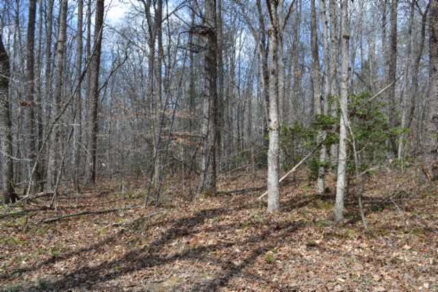 0 Buffalo Road Oneida TN 37841