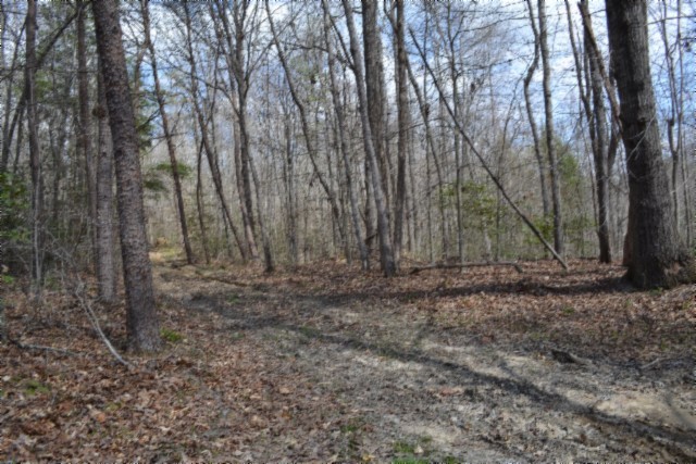 0 Buffalo Road Oneida TN 37841