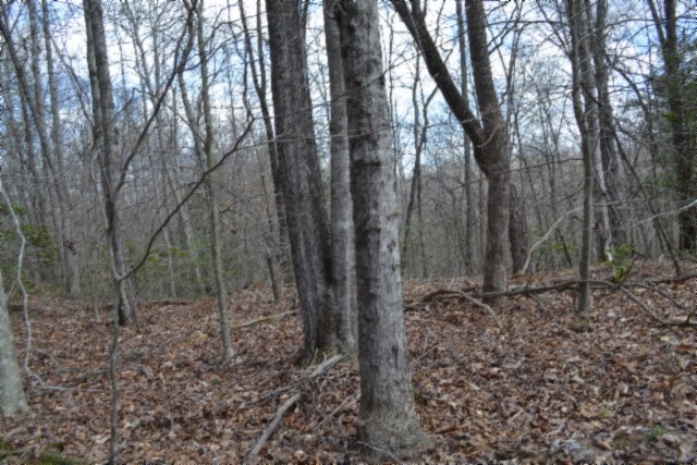 0 Buffalo Road Oneida TN 37841
