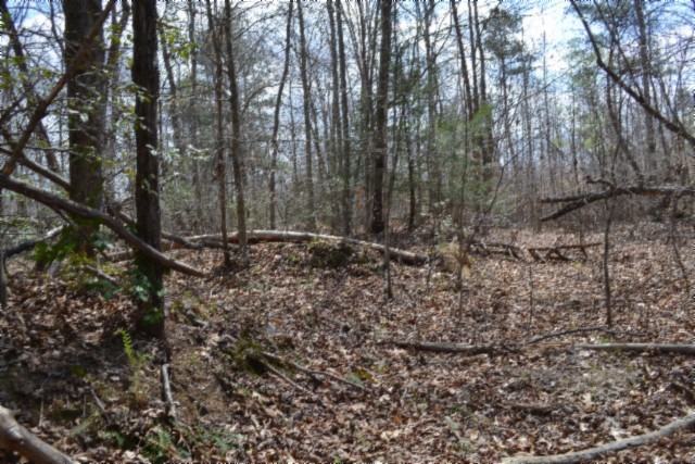 0 Buffalo Road Oneida TN 37841