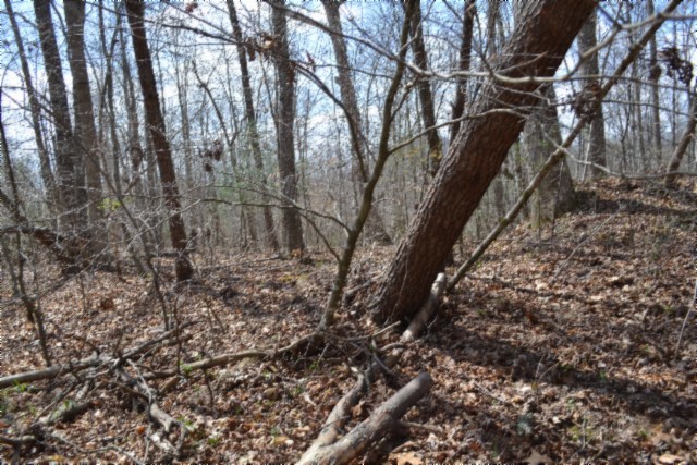 0 Buffalo Road Oneida TN 37841