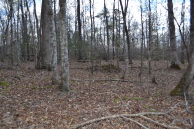 0 Buffalo Road Oneida TN 37841