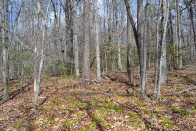 0 Buffalo Road Oneida TN 37841