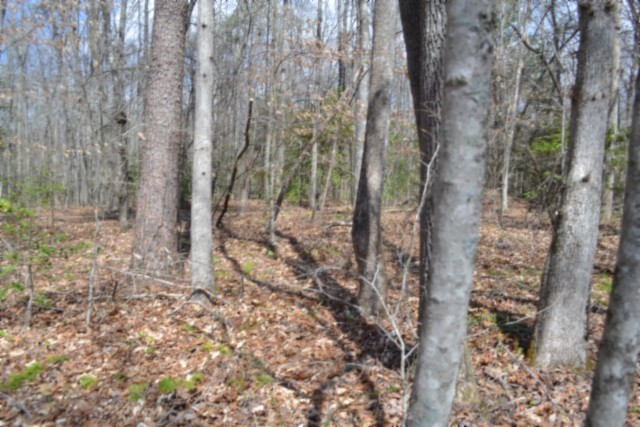 0 Buffalo Road Oneida TN 37841