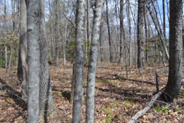 0 Buffalo Road Oneida TN 37841