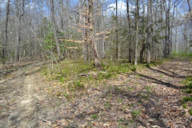 0 Buffalo Road Oneida TN 37841