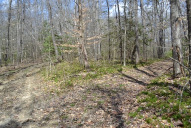 0 Buffalo Road Oneida TN 37841