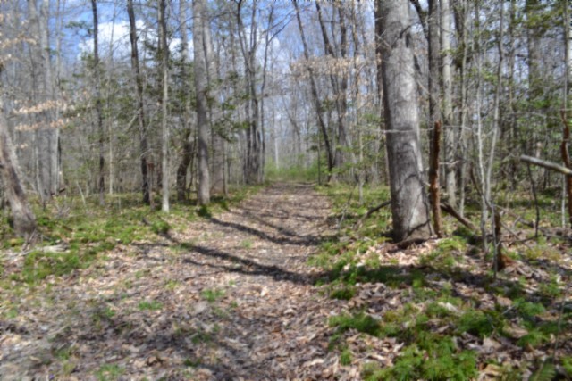 0 Buffalo Road Oneida TN 37841