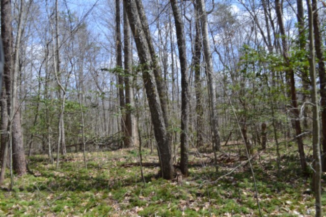 0 Buffalo Road Oneida TN 37841