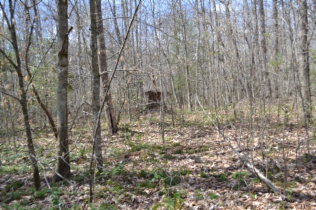 0 Buffalo Road Oneida TN 37841