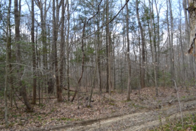 0 Buffalo Road Oneida TN 37841
