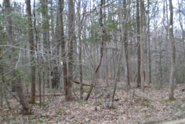 0 Buffalo Road Oneida TN 37841