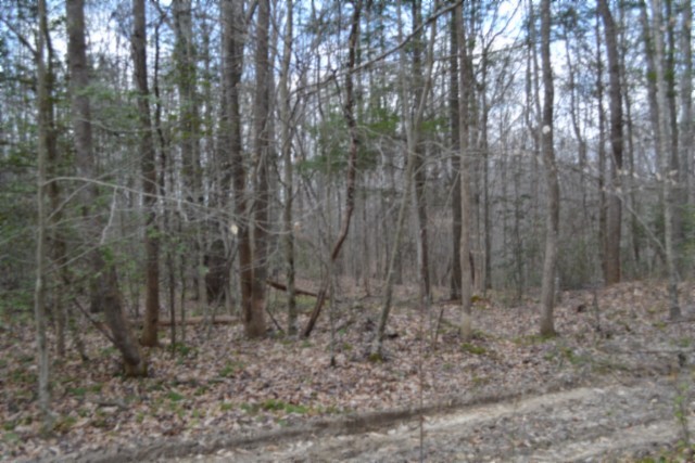 0 Buffalo Road Oneida TN 37841