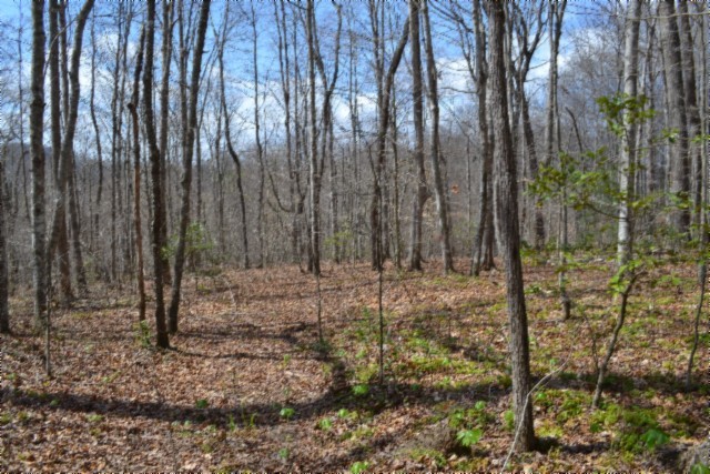 0 Buffalo Road Oneida TN 37841