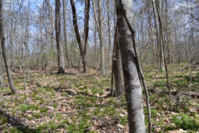 0 Buffalo Road Oneida TN 37841