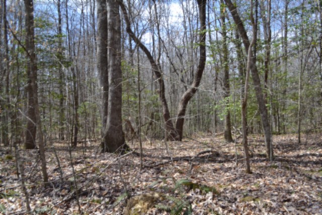 0 Buffalo Road Oneida TN 37841