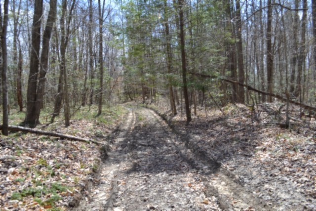 0 Buffalo Road Oneida TN 37841