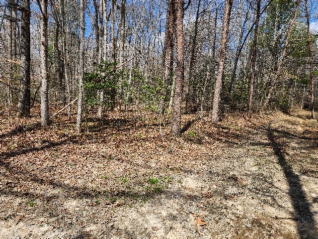 0 Buffalo Road Oneida TN 37841