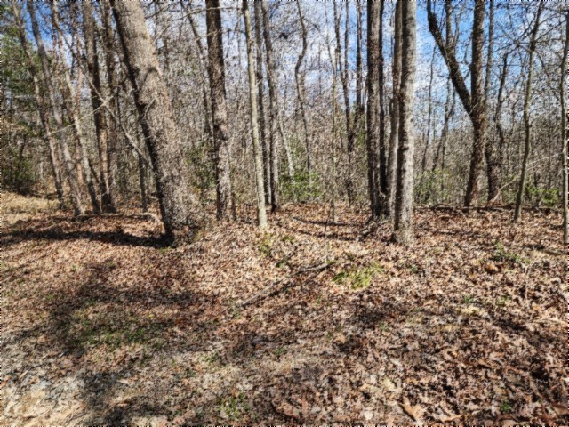 0 Buffalo Road Oneida TN 37841