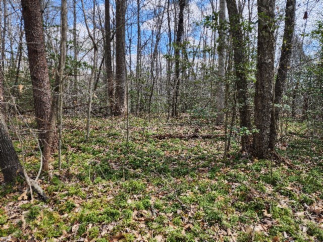 0 Buffalo Road Oneida TN 37841