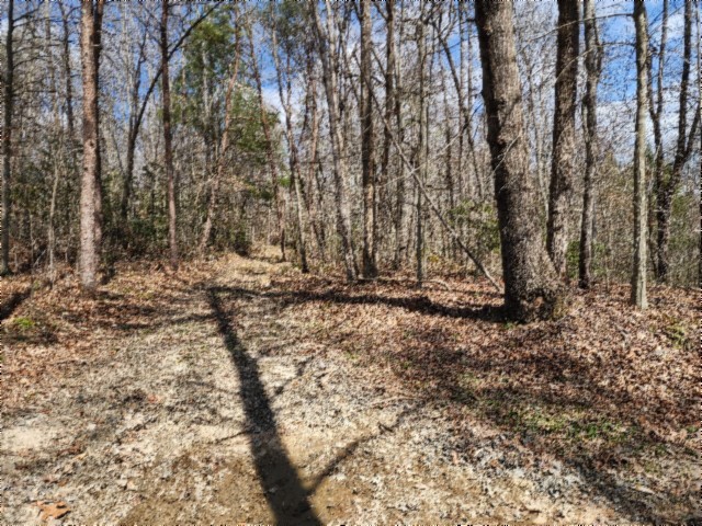 0 Buffalo Road Oneida TN 37841