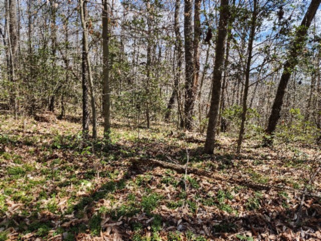 0 Buffalo Road Oneida TN 37841