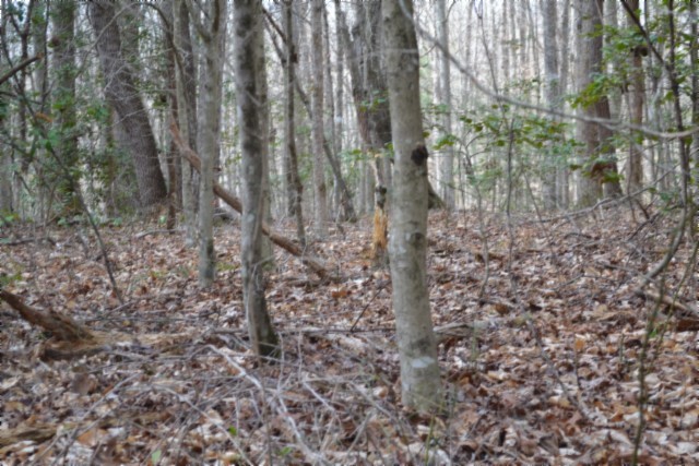 0 Buffalo Road Oneida TN 37841