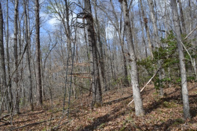 0 Buffalo Road Oneida TN 37841