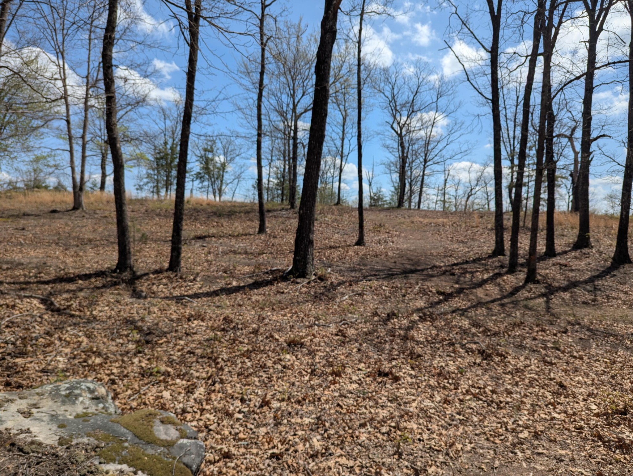 6 Escape Drive Evensville TN 37332