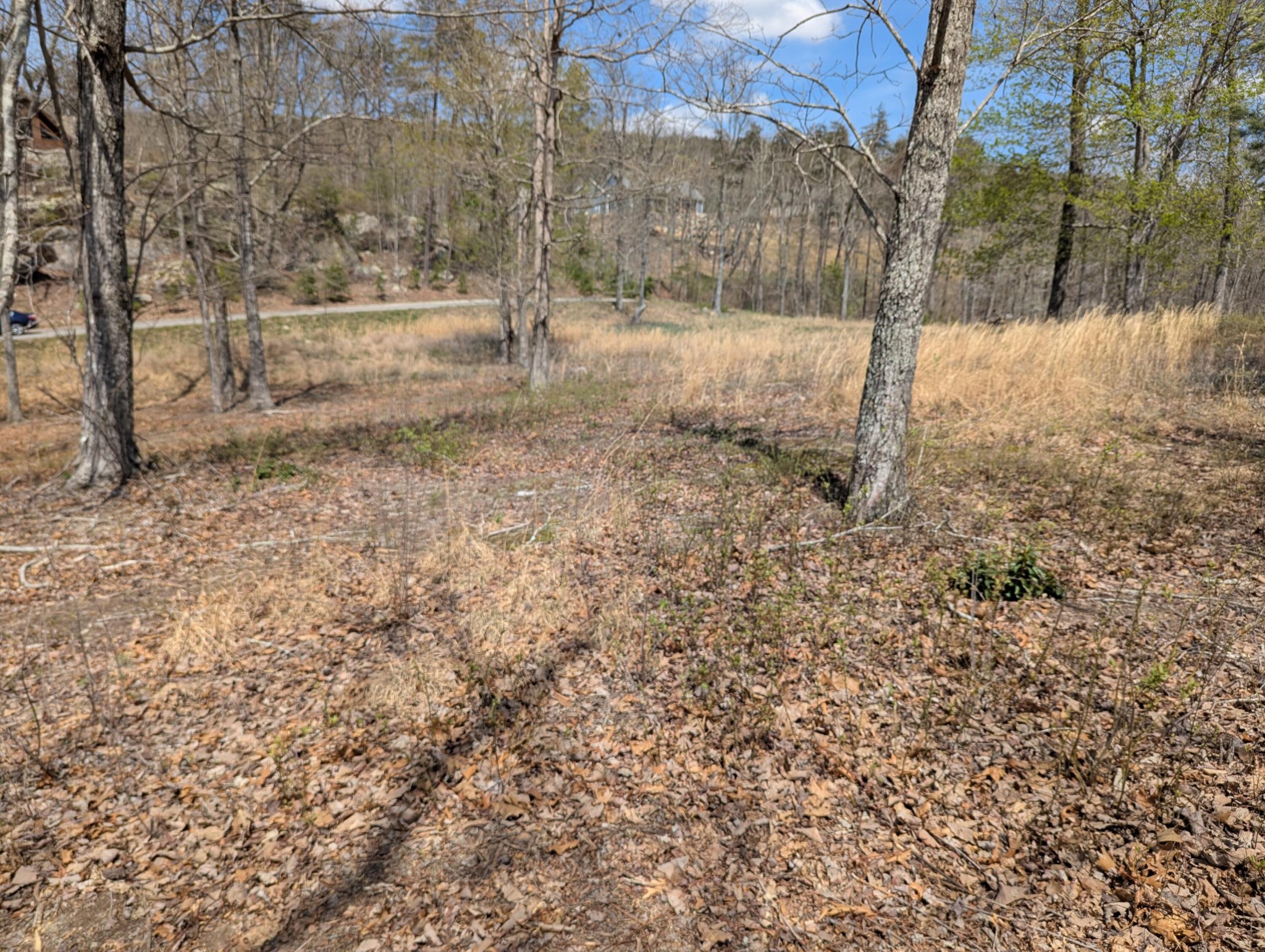 6 Escape Drive Evensville TN 37332